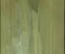 1698306365